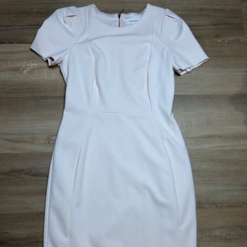 Calvin Klein Blush Pink Sheath Dress